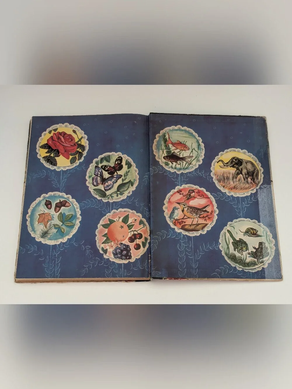 *Vintage* A Picture Book of Nature illustrated by Samuel Nisenson, 1943